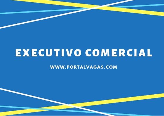 Executivo(a) Comercial