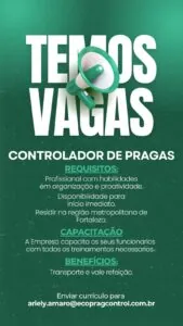 Não é necessário ter experiência na área. Obrigatório ter o ensino médio completo e CNH AB