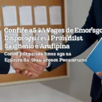 Confira as 54 Vagas de Emprego Disponíveis em Petrolina, Salgueiro e Araripina: Oportunidades Atualizadas da Agência do Trabalho de Pernambuco